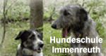 Hundeschule Immenreuth